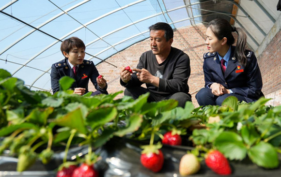 东丽区税务局：精心滴灌乡村振兴沃土 东丽区税务局以精细服务引导农企合规经营 