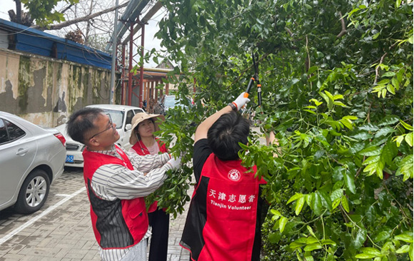 喜迎上合峰会 共建文明津城